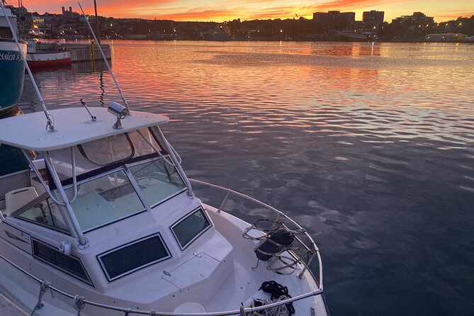 Boat Tours from Quidi Vidi Marina - Food, Drinks, and the Practical Details