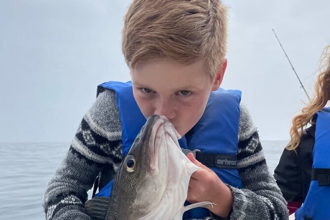 Boat Tours from Quidi Vidi Marina - Who Will Enjoy This Most