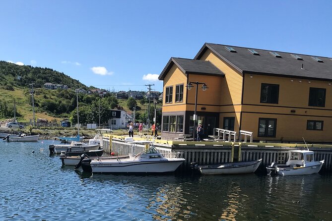 Boat Tours from Quidi Vidi Marina - Fishing for Cod During the July and August Window