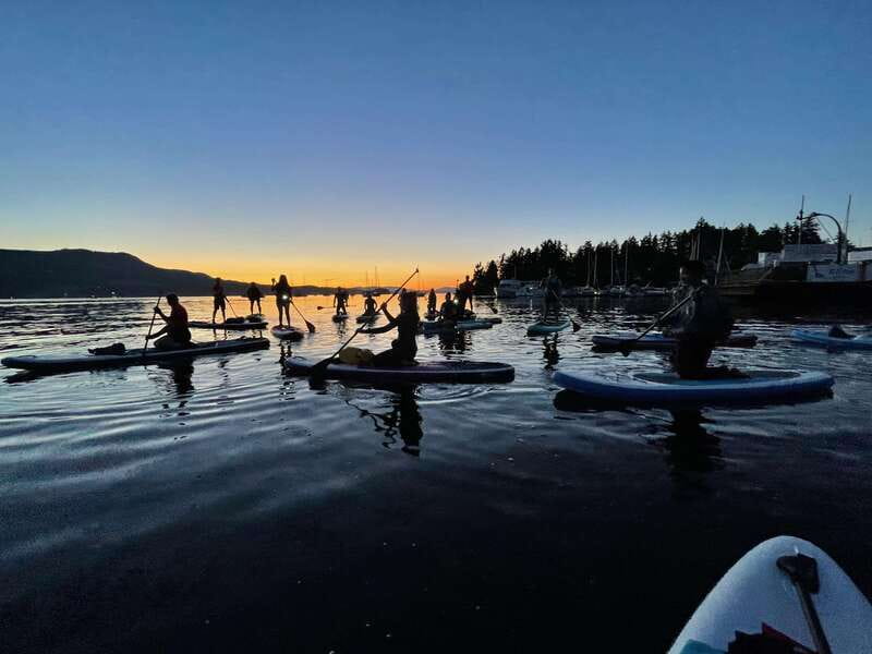 Brentwood Bay: Bioluminescence Tour - Key points to know before you go