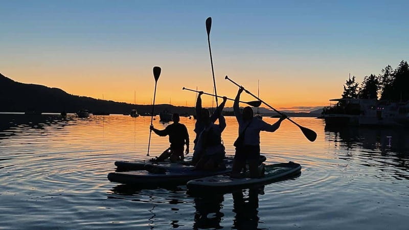 Brentwood Bay: Bioluminescence Tour - Practical planning for your evening