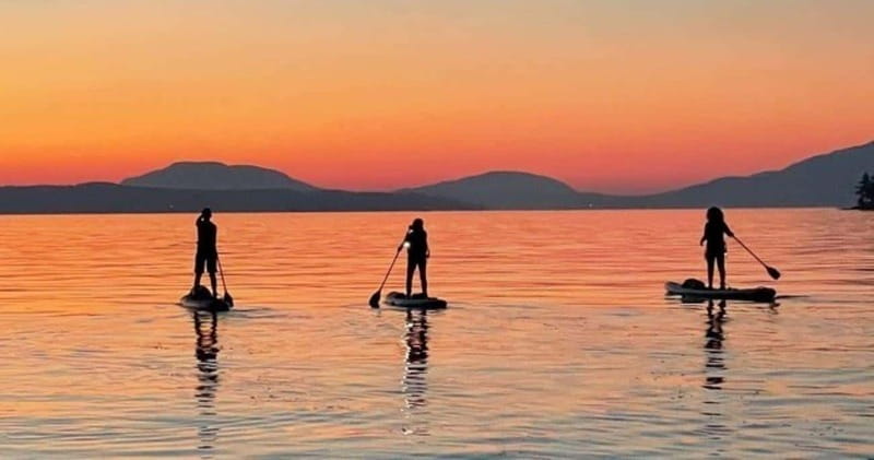 Brentwood Bay: Bioluminescence Tour - Sunset comes before the glowing water