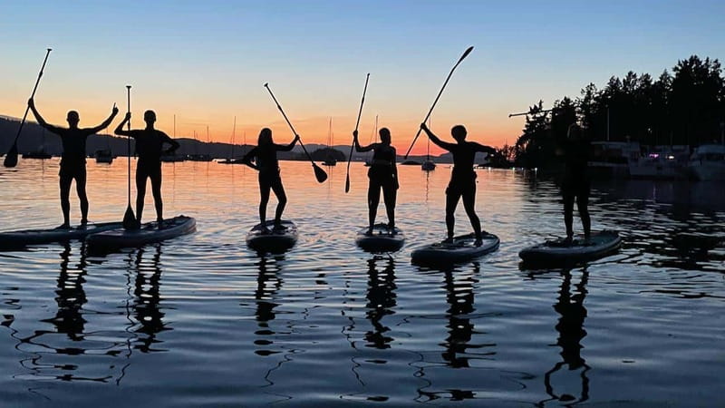 Brentwood Bay: Bioluminescence Tour - What bioluminescence really adds