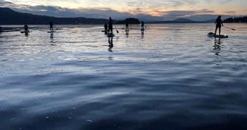 Brentwood Bay: Bioluminescence Tour - How much paddling is involved?
