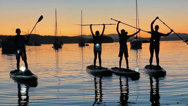 Brentwood Bay: Bioluminescence Tour - The $74 price and what you receive