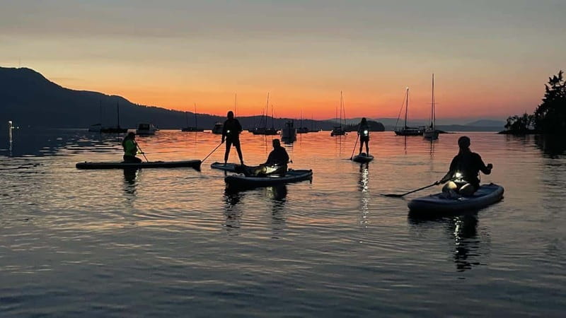 Brentwood Bay: Bioluminescence Tour - The first five minutes: safety and paddleboard basics