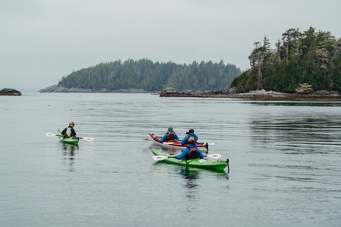 Broken Group Islands Day Tour - First Nations sites and an old-growth forest stop