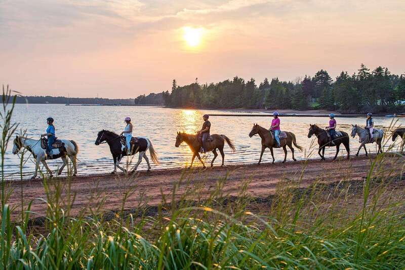 Brudenell: Family-Friendly Horse Ride goes on the Beach - Key points to know before you book