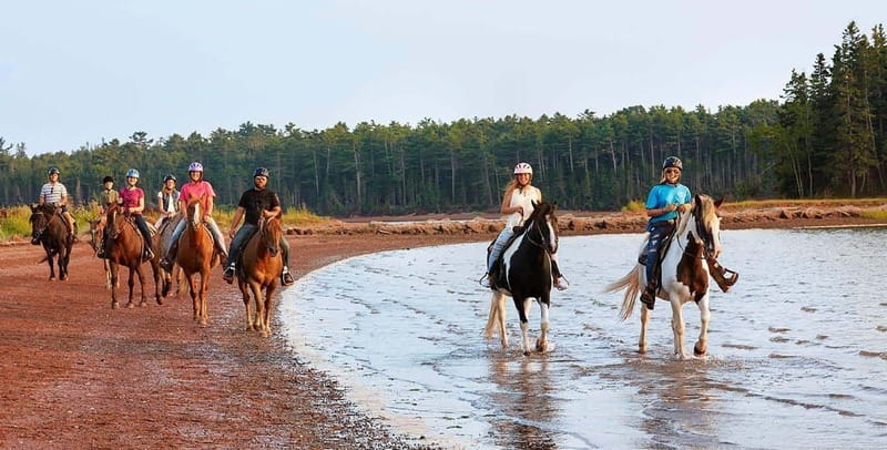 Brudenell: Family-Friendly Horse Ride goes on the Beach - The wooded trail begins the outing