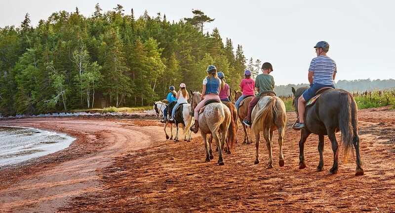 Brudenell: Family-Friendly Horse Ride goes on the Beach - Why the short duration can work for families