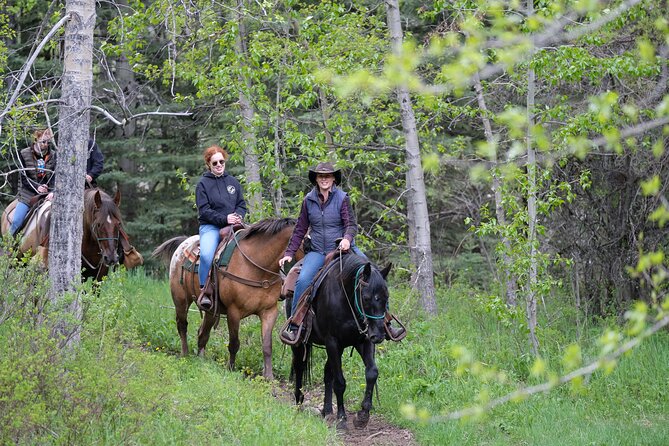 Buffalo Loop 1-Hour Horseback Trail Ride in Kananaskis - Key details before you saddle up