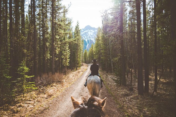 Buffalo Loop 1-Hour Horseback Trail Ride in Kananaskis - Why the Buffalo Loop works for beginners
