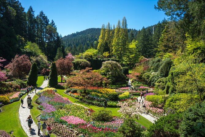 Butchart Gardens and Victoria Sightseeing Tour from Vancouver - The long return to Vancouver