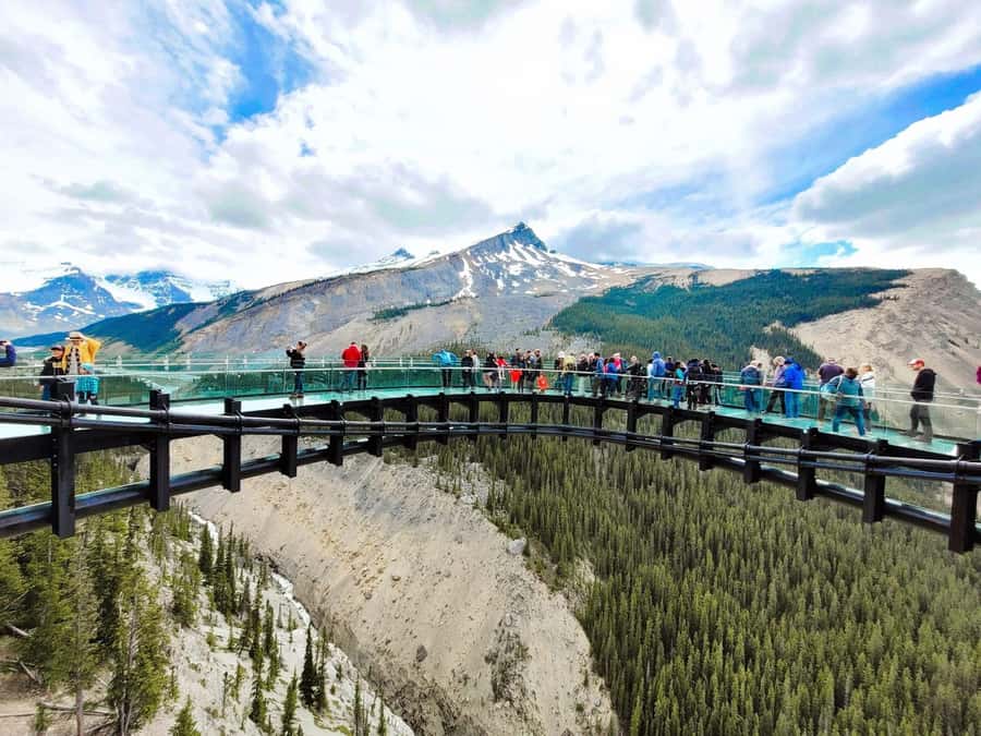 Calgary Banff: Columbia Icefield, Skywalk and Lakes Day Tour - Peyto Lake gives you the best lake stop