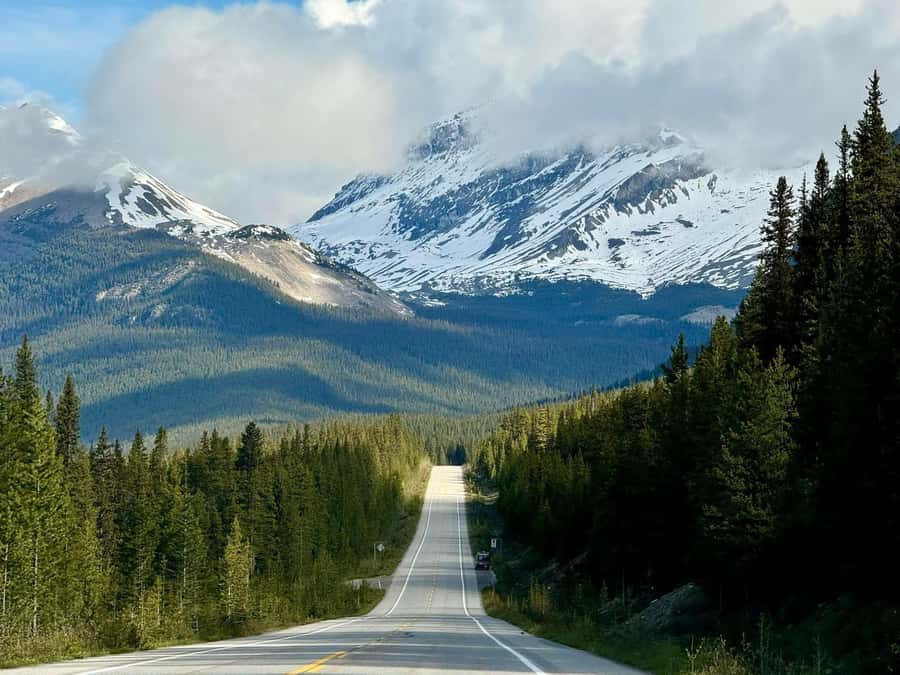 Calgary Banff: Columbia Icefield, Skywalk and Lakes Day Tour - Lunch in Lake Louise Village