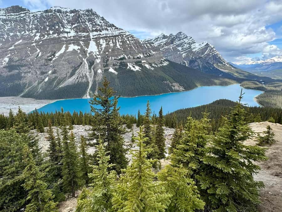 Calgary Banff: Columbia Icefield, Skywalk and Lakes Day Tour - Starting in Calgary, Canmore, or Banff