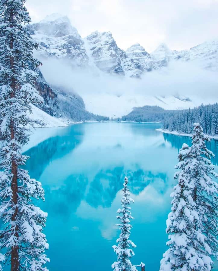 Calgary, Banff: Lake louise , Moraine ,Emerald Lake day Tour - Key points to know before booking