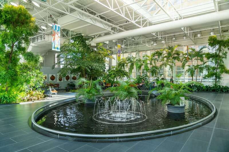 Calgary: City Highlights Walking Tour | 3-Hour - Arts Commons and the city’s cultural side