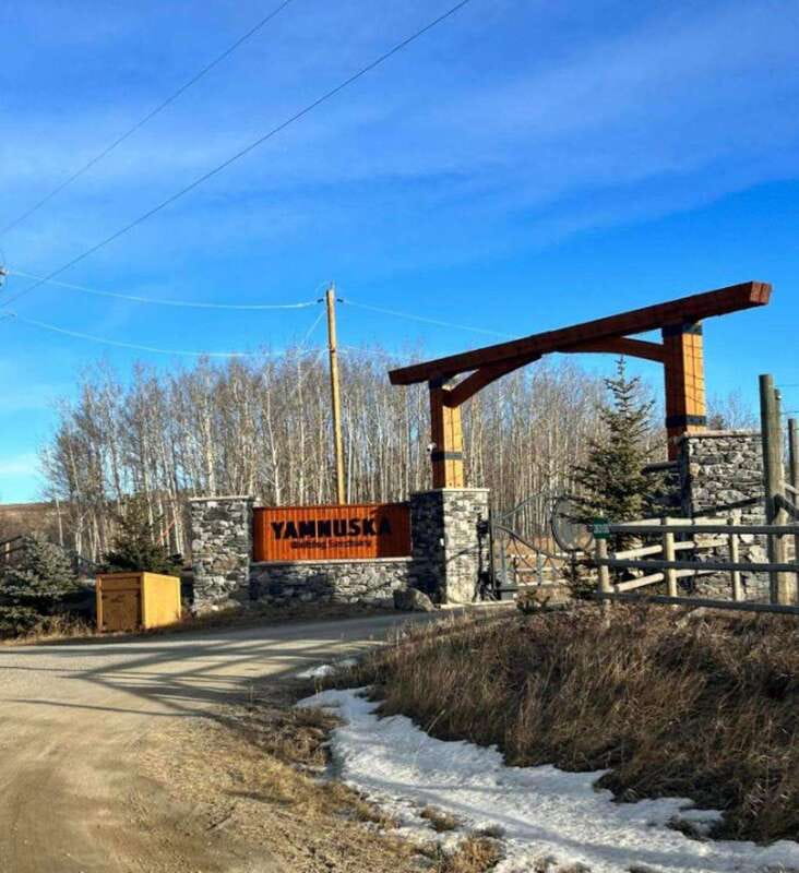 Calgary City Tour & Yamnuska Wolfdog Sanctuary Private Tour - The guide can make or break the flexible schedule