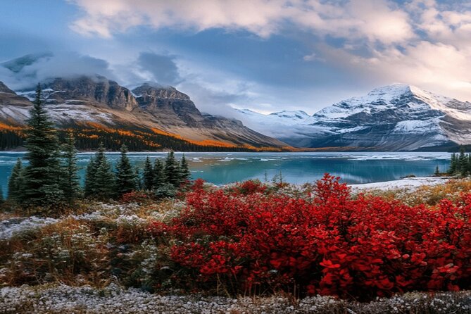 Calgary: Columbia Icefield Adventure, Skywalk and Peyto Lake Tour - The Columbia Icefield Skywalk is thrilling, but not essential