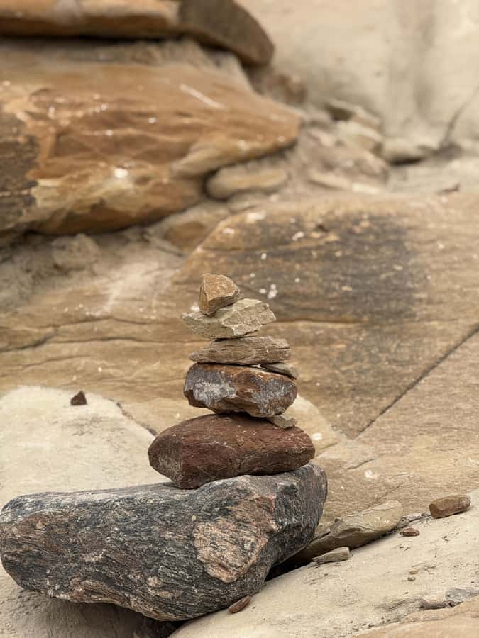 Calgary: Drumheller and Badlands Tour with Museum Entry - Two Hours at the Royal Tyrrell Museum