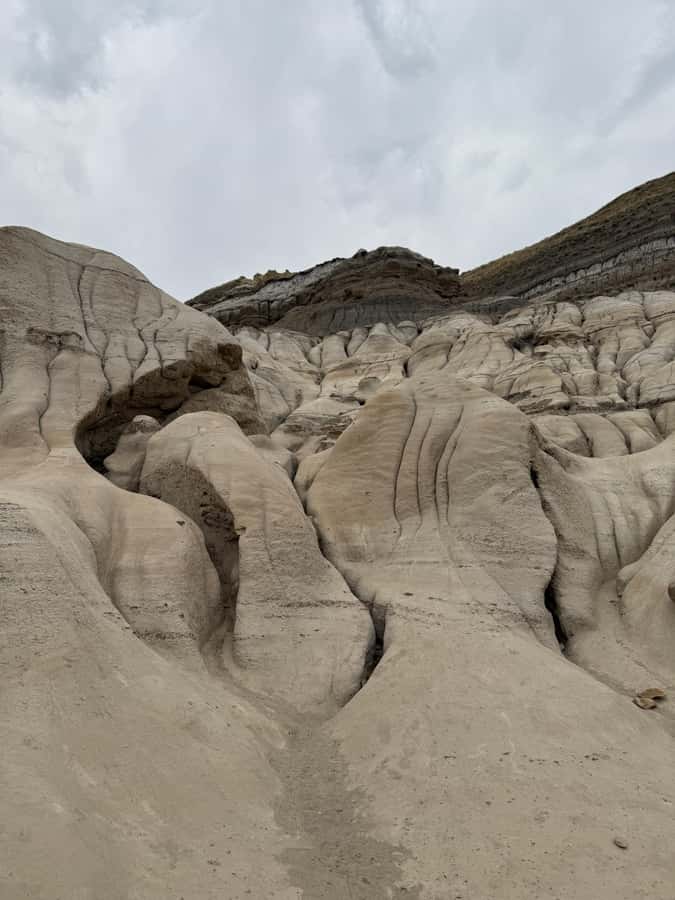Calgary: Drumheller and Badlands Tour with Museum Entry - Is $138 a Fair Price?