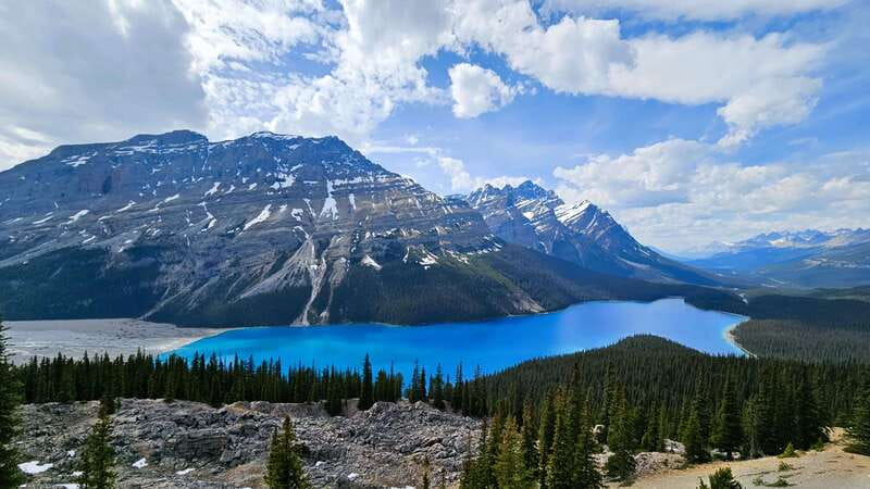 Calgary: Glaciers, Mountains, Lakes, Canmore and Banff Tour - Peyto Lake delivers the big viewpoint