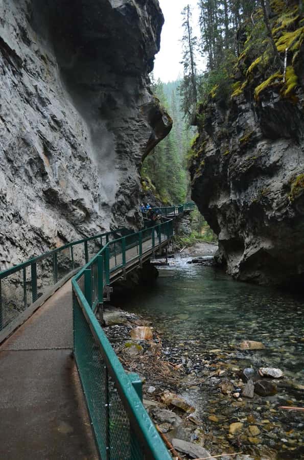 Calgary: Lake Louise, Emerald Lake, and Johnston Canyon Tour - Emerald Lake and Natural Bridge in Yoho National Park