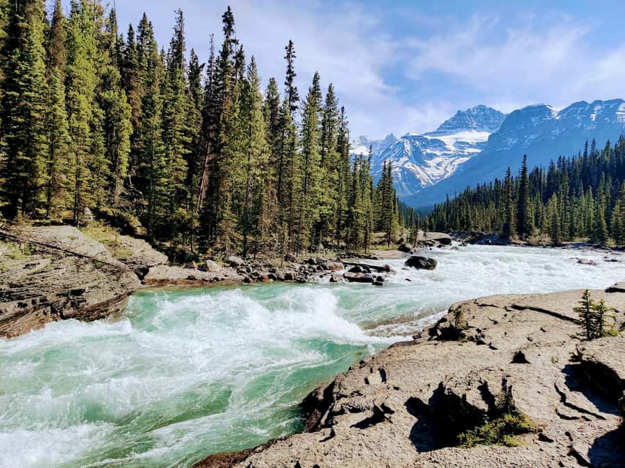 Calgary: Lake Louise, Emerald, Marble Canyon, and Yoho Tour - Lake Louise gives you the classic postcard stop
