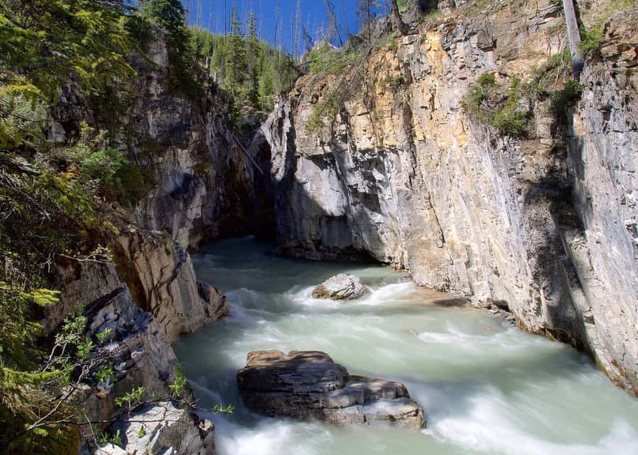 Calgary: Radium Hot Springs & Marble Canyon Day Trip - Key points before you book