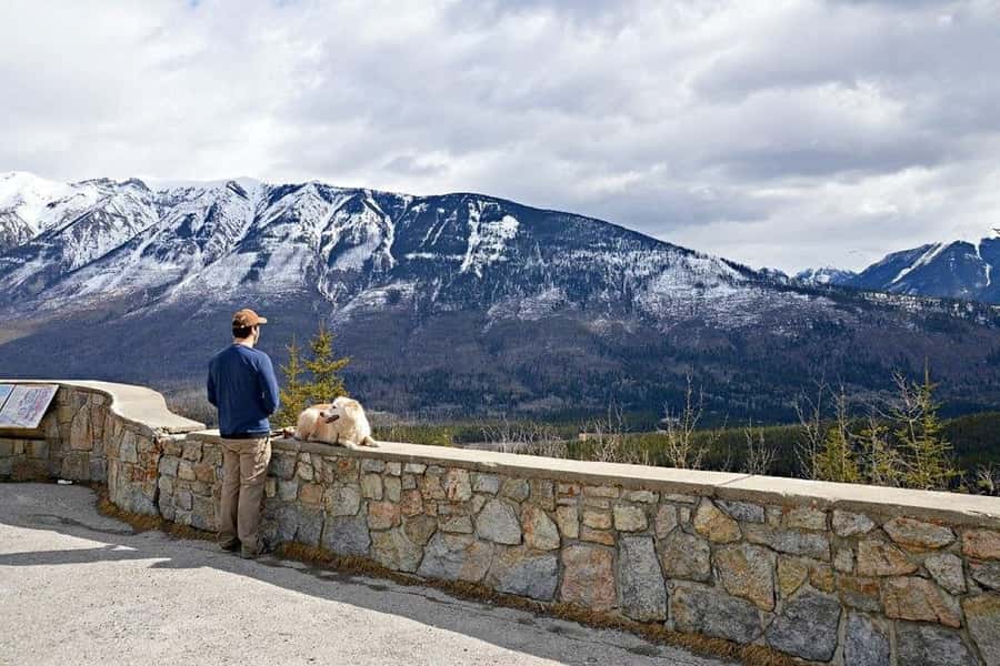 Calgary: Radium Hot Springs & Marble Canyon Day Trip - Numa Falls, a short roadside reward