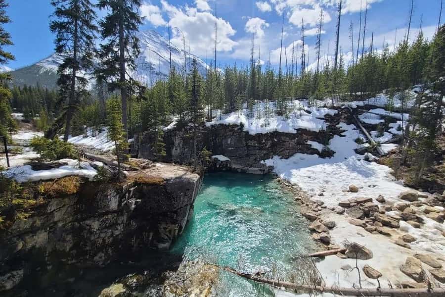 Calgary: Radium Hot Springs & Marble Canyon Day Trip - Soaking at Radium Hot Springs