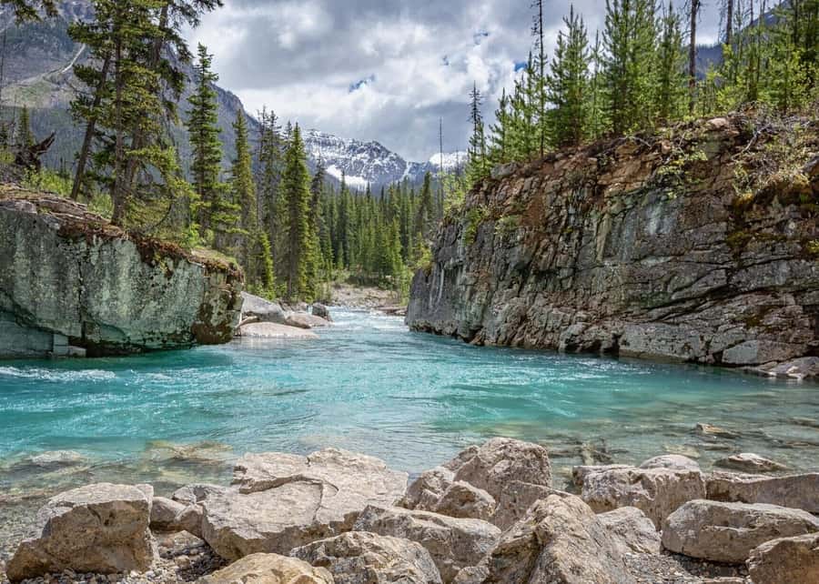 Calgary: Radium Hot Springs & Marble Canyon Day Trip - Pickup from Calgary, Canmore, or Banff