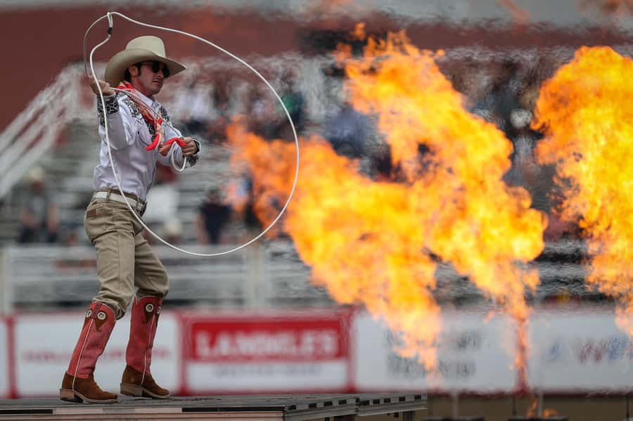 Calgary Stampede Afternoon Rodeo - Key points to know before you book