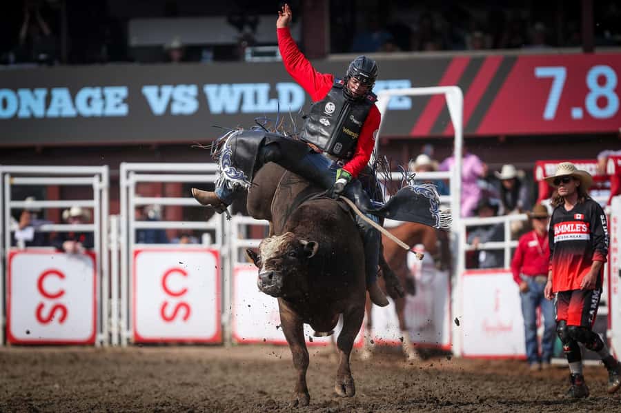Calgary Stampede Afternoon Rodeo - Why the afternoon rodeo is worth your time