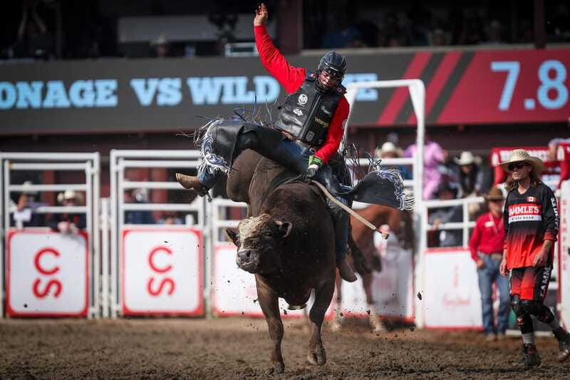 Calgary Stampede Afternoon Rodeo - Who will enjoy this most