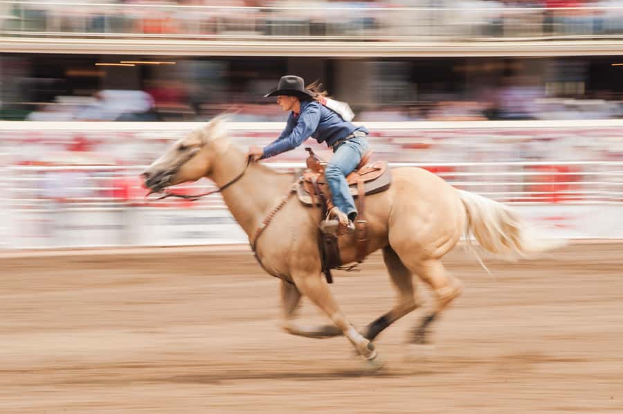 Calgary Stampede Afternoon Rodeo - Getting to the 1:30 p.m. start