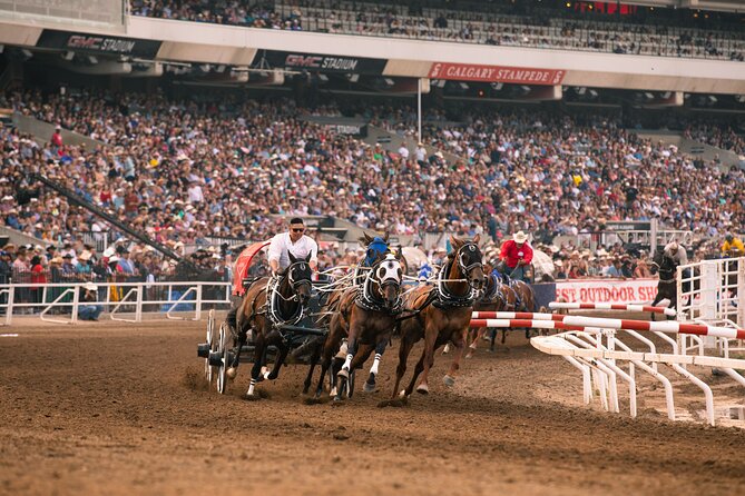 Calgary Stampede Two Day Thrill Package - Why separating the two days makes sense