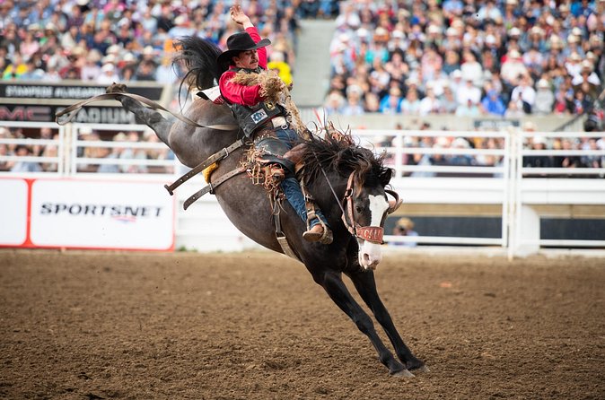 Calgary Stampede Two Day Thrill Package - Ticket collection and getting inside