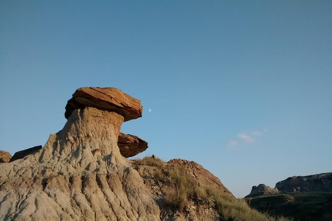 Calgary to Royal Museum | Drumheller – PRIVATE TOUR - Key points to know before you book