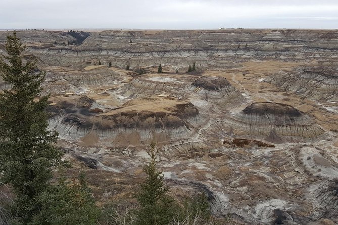 Calgary to Royal Museum | Drumheller – PRIVATE TOUR - Horsethief Canyon brings the broadest views