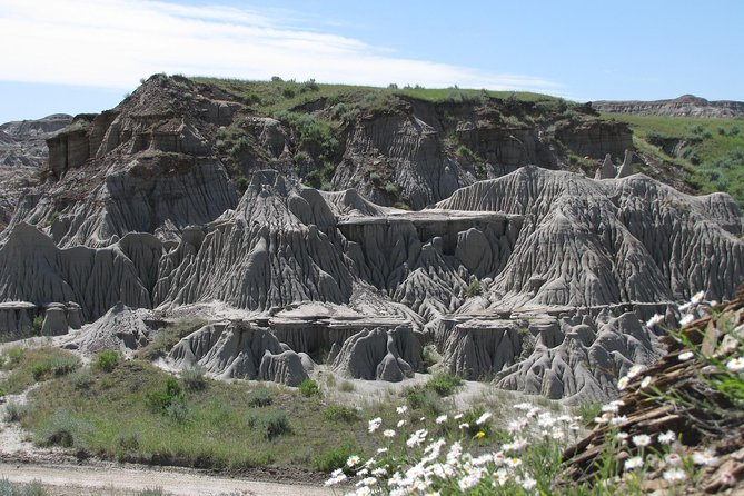 Calgary to Royal Museum | Drumheller – PRIVATE TOUR - Horseshoe Canyon gives you the first big view