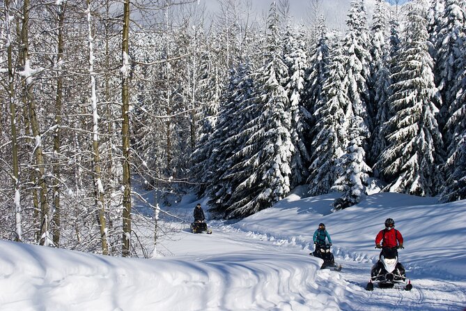 Callaghan Cruiser Snowmobile Tour - Who will enjoy this tour most?
