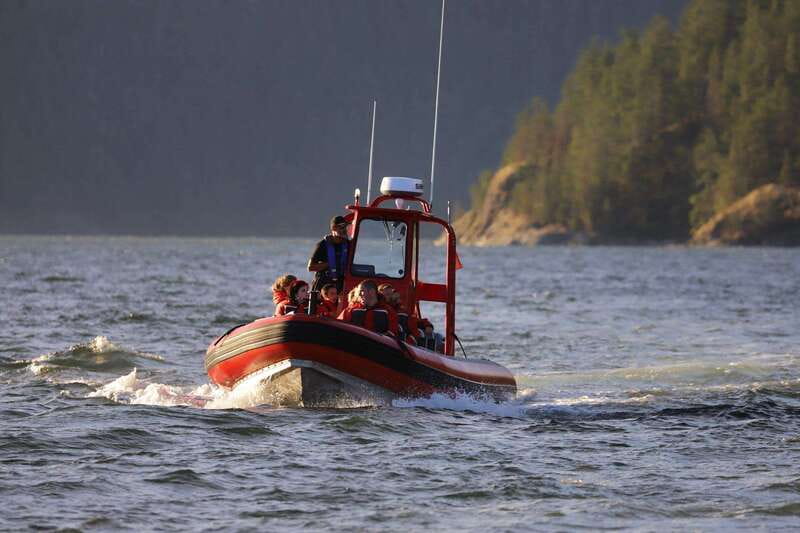 Campbell River: 6-Hour Whale Watching Boat Tour - Key points at a glance