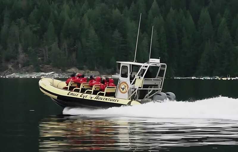 Campbell River: 6 Hour Zodiac Whale Watching Tour w/ Lunch - Is $261 a fair price?
