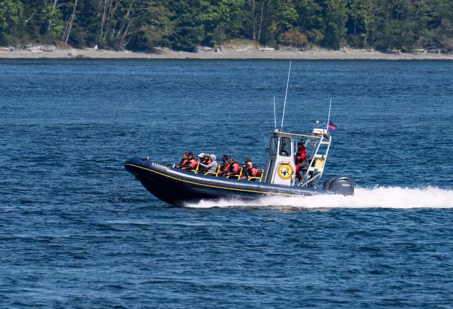 Campbell River: 6 Hour Zodiac Whale Watching Tour w/ Lunch - Why the Zodiac format matters on the Discovery Passage