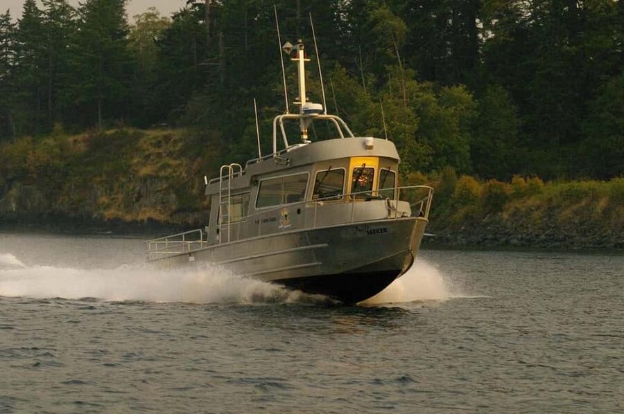 Campbell River: 7-Hour Big Animal Encounter Boat Tour - Five things to know before you book
