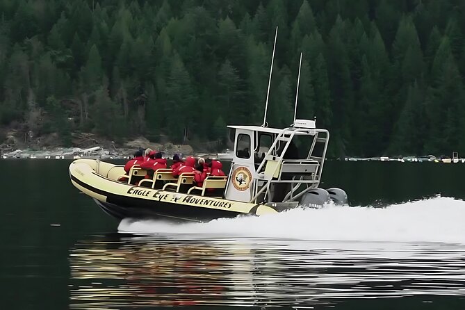 Campbell River, BC: 4 Hour Wildlife Tour Featuring Whale Watching - Key points before you book