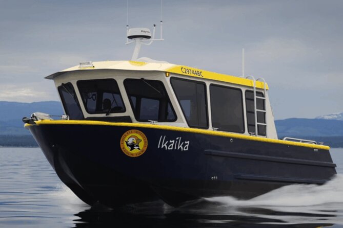 Campbell River, BC: 4 Hour Wildlife Tour Featuring Whale Watching - How the wildlife search works