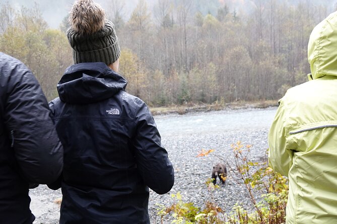Campbell River: Bute Inlet Grizzly-Watching Tour & Boat Ride - Reaching the Orford River Valley